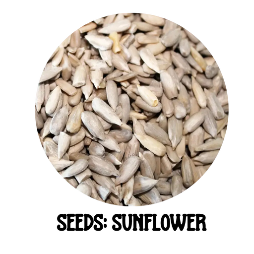 1kg bulk sunflower seeds