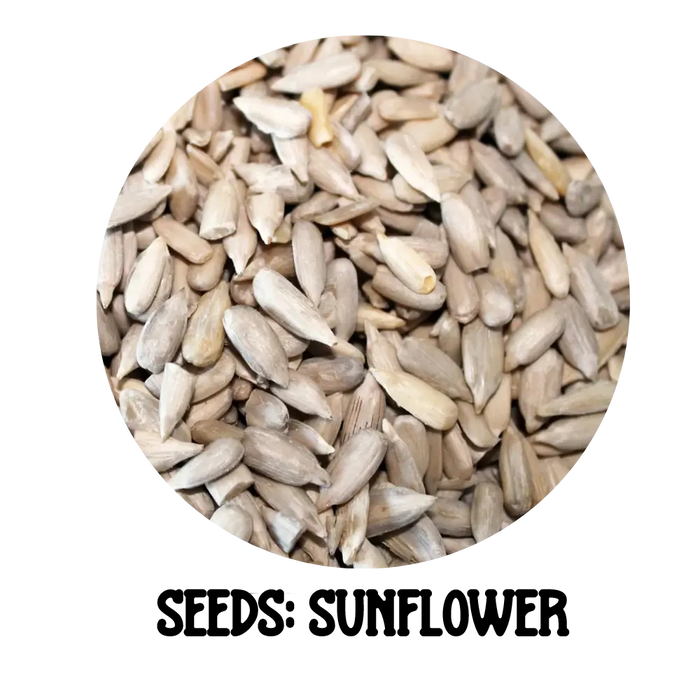 1kg bulk sunflower seeds