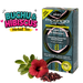 A box of Akan Moringa Leaf Tea with Cape Buchu & Hibiscus, shown alongside loose hibiscus flowers and dried petals on a white background, with a 'BUCHU & HIBISCUS Herbal Tea' graphic overlay in the top left.